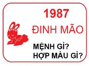 sinh-nam-1987-menh-gi