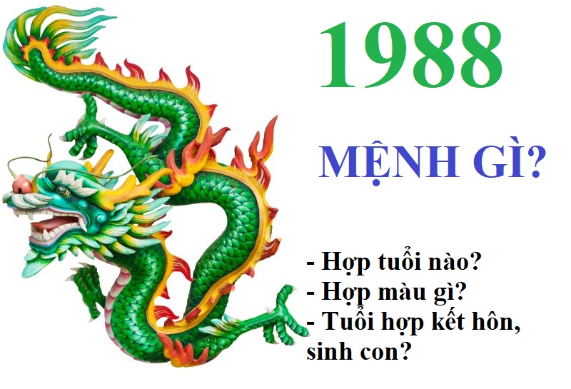 sinh-nam-1988-menh-gi-5