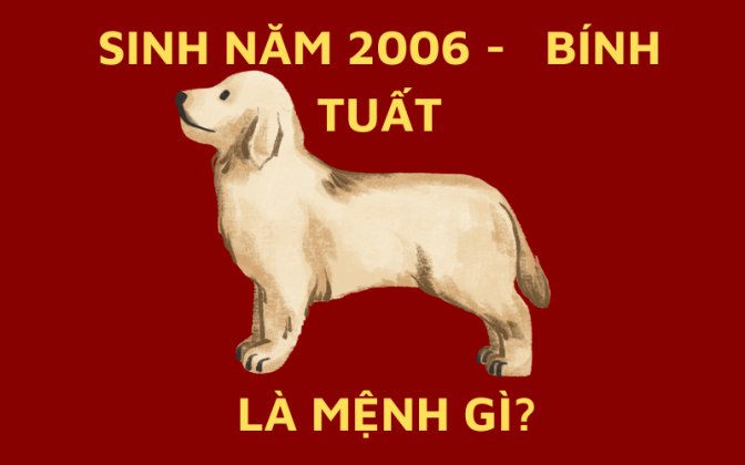 sinh-năm-2006-la-menh-gi5