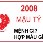 sinh-nam-2008-menh-gi