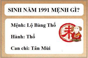 tan-mui-1991-la-menh-gi3