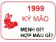 tuoi-ky-mao-1999-menh-gi