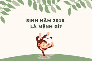 nam-2016-menh-gi