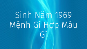 sinh-nam-1969-la-menh-gi1