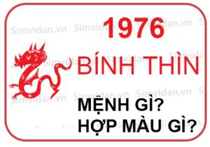 sinh-nam-1976-menh-gi