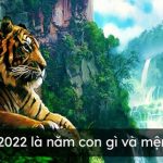sinh-nam-2022-menh-gi