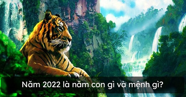 sinh-nam-2022-menh-gi