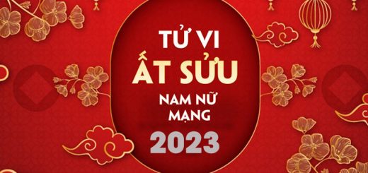 tu-vi-at-suu-1985-nam-quy-mao-2023