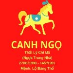 tu-vi-canh-ngo-nam-2023
