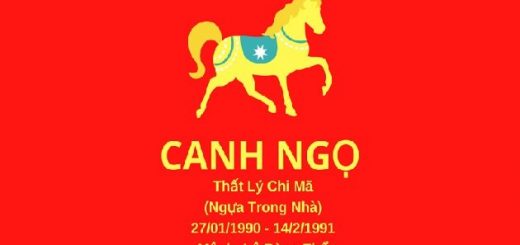 tu-vi-canh-ngo-nam-2023