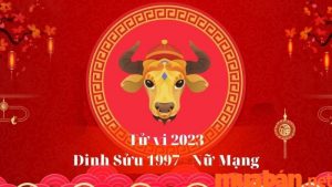 tu-vi-nu-dinh-suu-1997-nam-quy-mao-2023