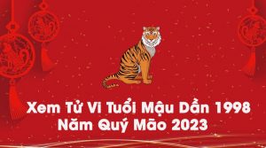 tu-vi-nu-mau-dan-nam-quy-mao-2023