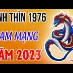 tu-vi-nam-binh-thin-nam-quy-mao-2023