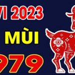 tu-vi-nu-ky-mui-nam-2023