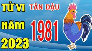 tu-vi-nu-tan-dau-1981-nam-quy-mao-2023