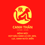 Tuoi-canh-than-1980-hop-mau-gi