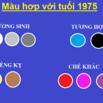 tuoi-at-mao-1975-hop-mau-gi