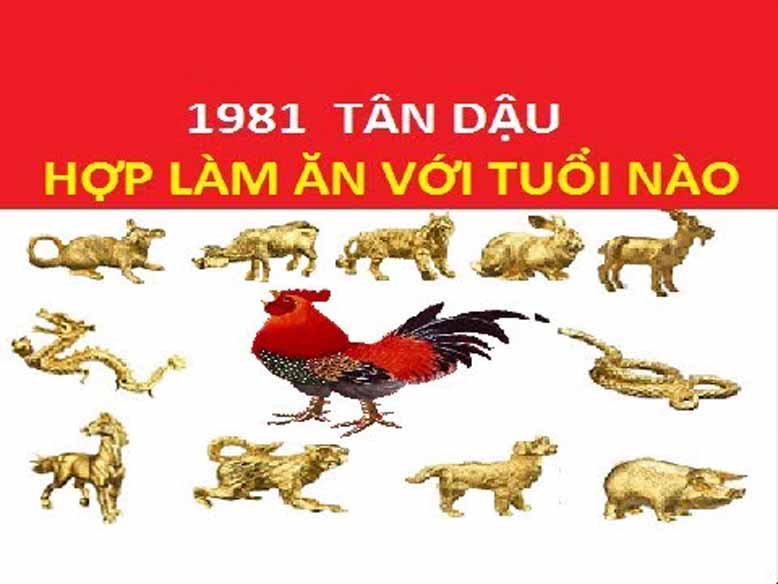 tuoi-hop-lam-ăn-cho-tuoi-tan-dau-1981