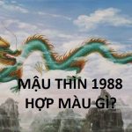 tuoi-mau-thi-1988-hop-mau-gi