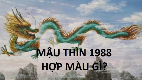 tuoi-mau-thi-1988-hop-mau-gi