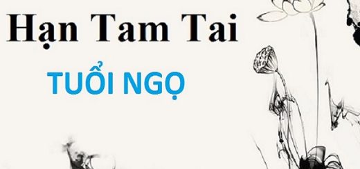 xem-han-tam-tai-cho-tuoi-canh-ngo-nam-2023