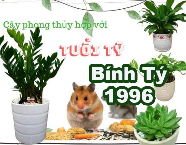cay-phong-thuy-cho-tuoi-binh-ty-1996