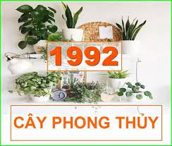 cay-phong-thuy-cho-tuoi-nham-than-1992