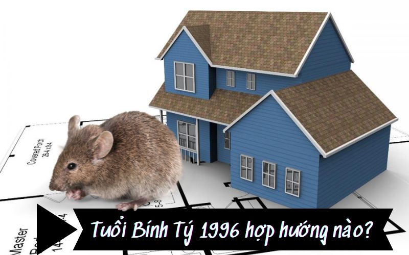 huong-nha-hop-tuoi-binh-ty-1996-2