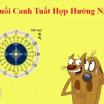 huong-nha-hop-tuoi-canh-tuat-1970-3