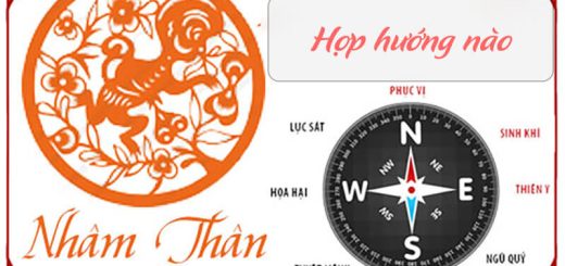 huong-nha-hop-tuoi-nham-than-1992-1