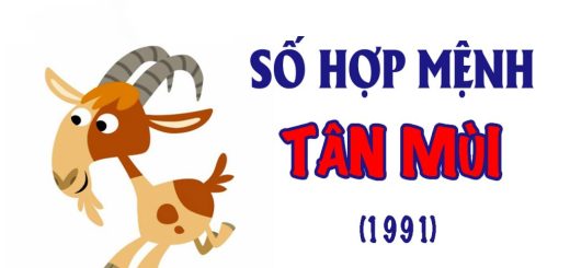 so-hop-tuoi-tan-mui-1991