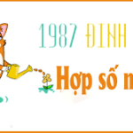 tuoi-dinh-mao-1987-hop-so-may