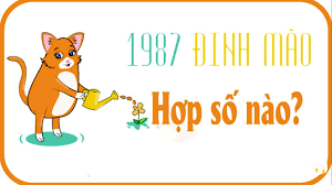 tuoi-dinh-mao-1987-hop-so-may