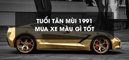 tan-mui-1991-hop-xe-mau-gi-1